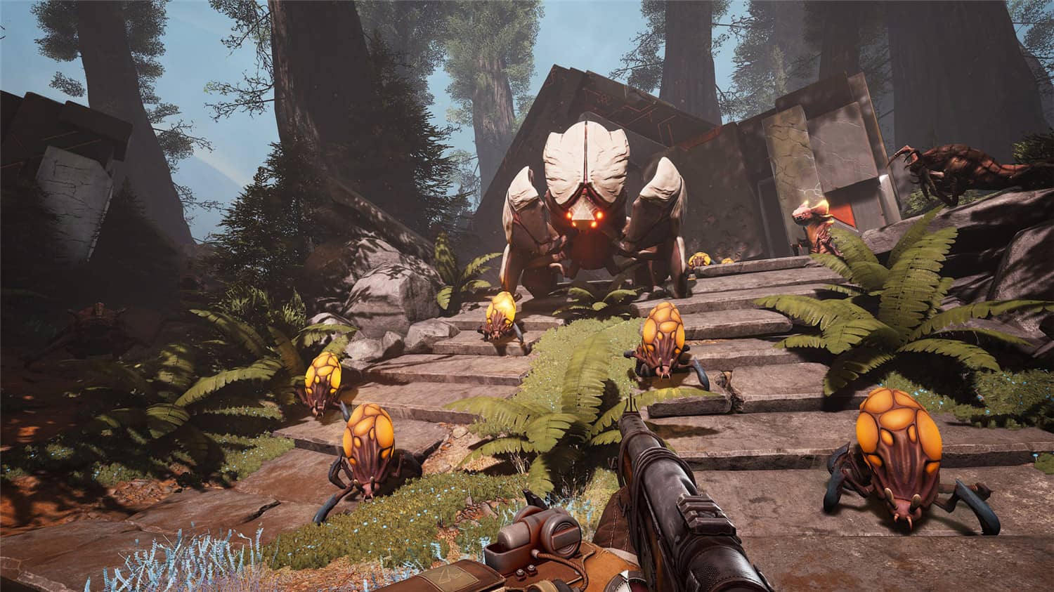 虚空列车v11829联机版 第3张 虚空列车v11829联机版 第3张