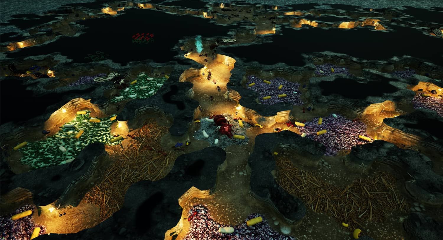 地下蚁国/Empires of the Undergrowth 第3张 地下蚁国/Empires of the Undergrowth 第3张