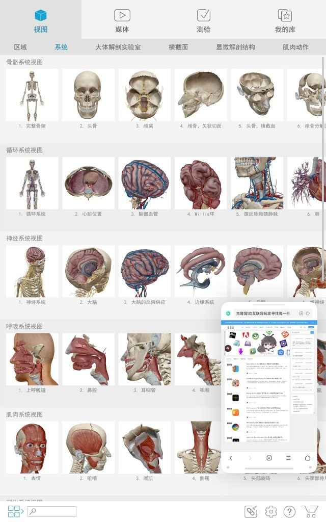Atlas v2023.04.011 解锁版 (人体解剖学图谱模型) 第1张 Atlas v2023.04.011 解锁版 (人体解剖学图谱模型) 第1张