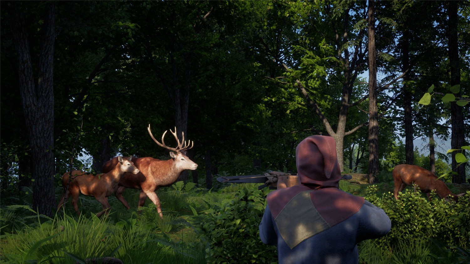 中世纪王朝/Medieval Dynasty 第3张 中世纪王朝/Medieval Dynasty 第3张