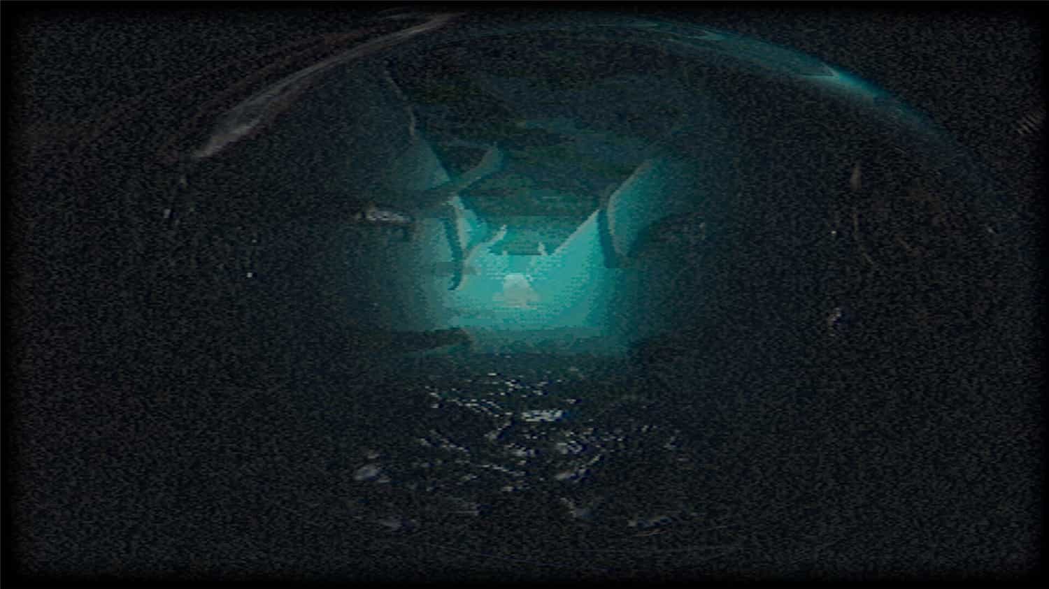 塑形变异/Plastomorphosis 第2张 塑形变异/Plastomorphosis 第2张