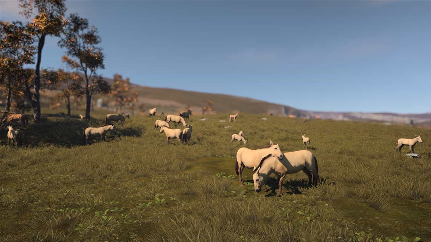 古代城市/Ancient Cities 第1张 古代城市/Ancient Cities 第1张