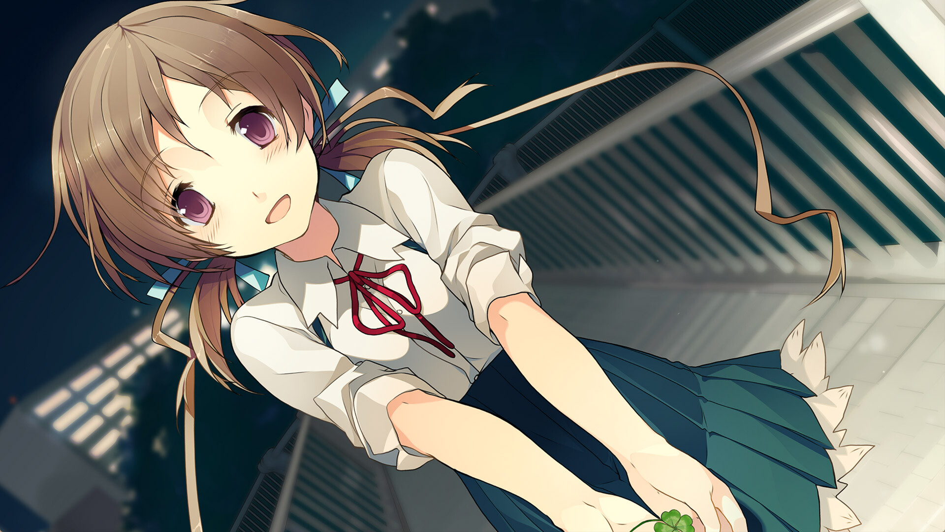 恋爱与选举与巧克力/Love, Elections, and Chocolate  第2张