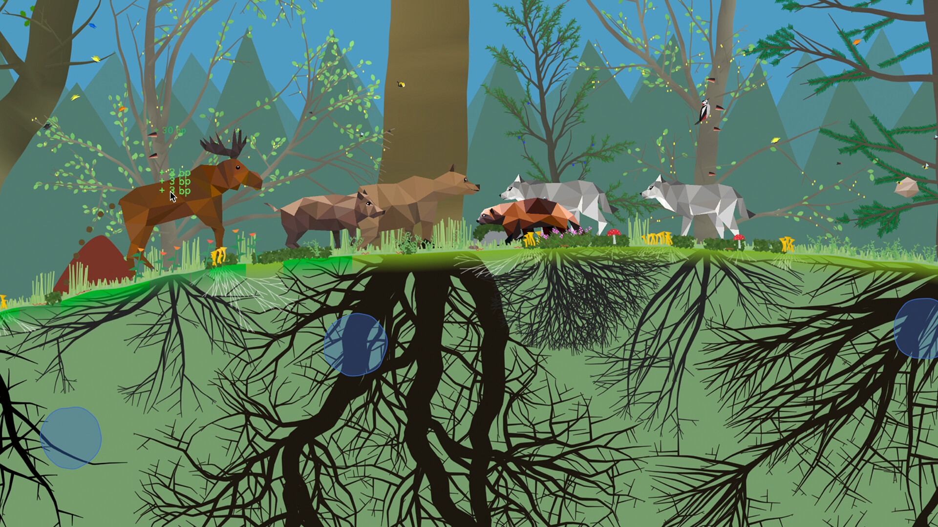 小松林/PolyPine 第3张 小松林/PolyPine 第3张