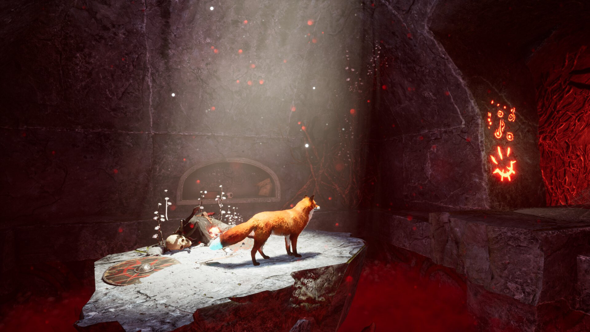 北方之灵2/Spirit of the North 2  第1张