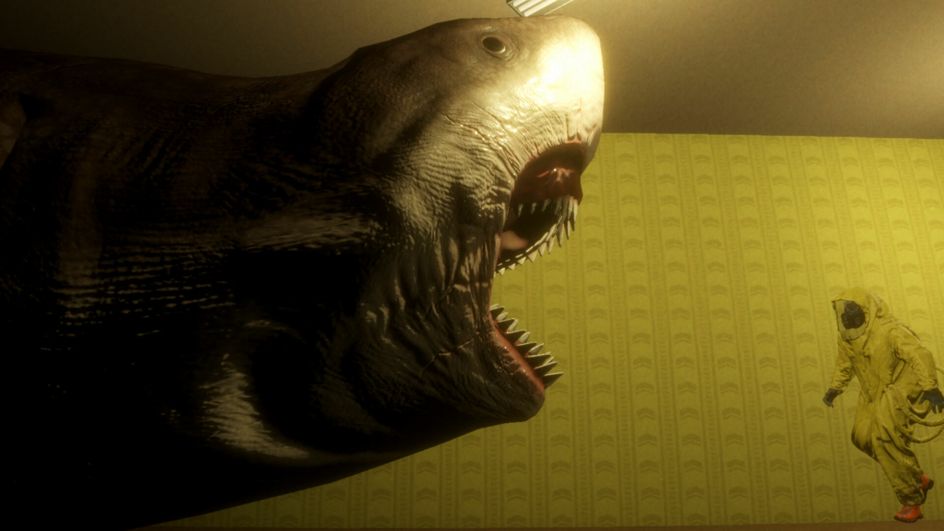 后室循环/BACKROOM LOOP 第3张 后室循环/BACKROOM LOOP 第3张