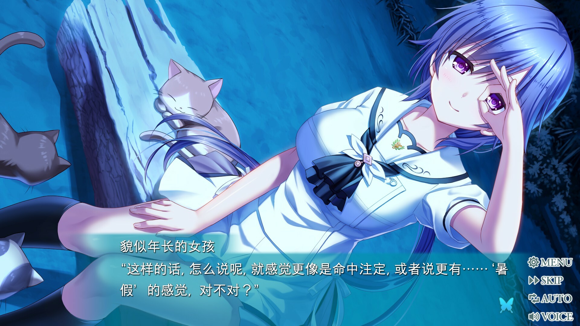 夏日口袋:流光蓝/Summer Pockets REFLECTION BLUE 第4张 夏日口袋:流光蓝/Summer Pockets REFLECTION BLUE 第4张