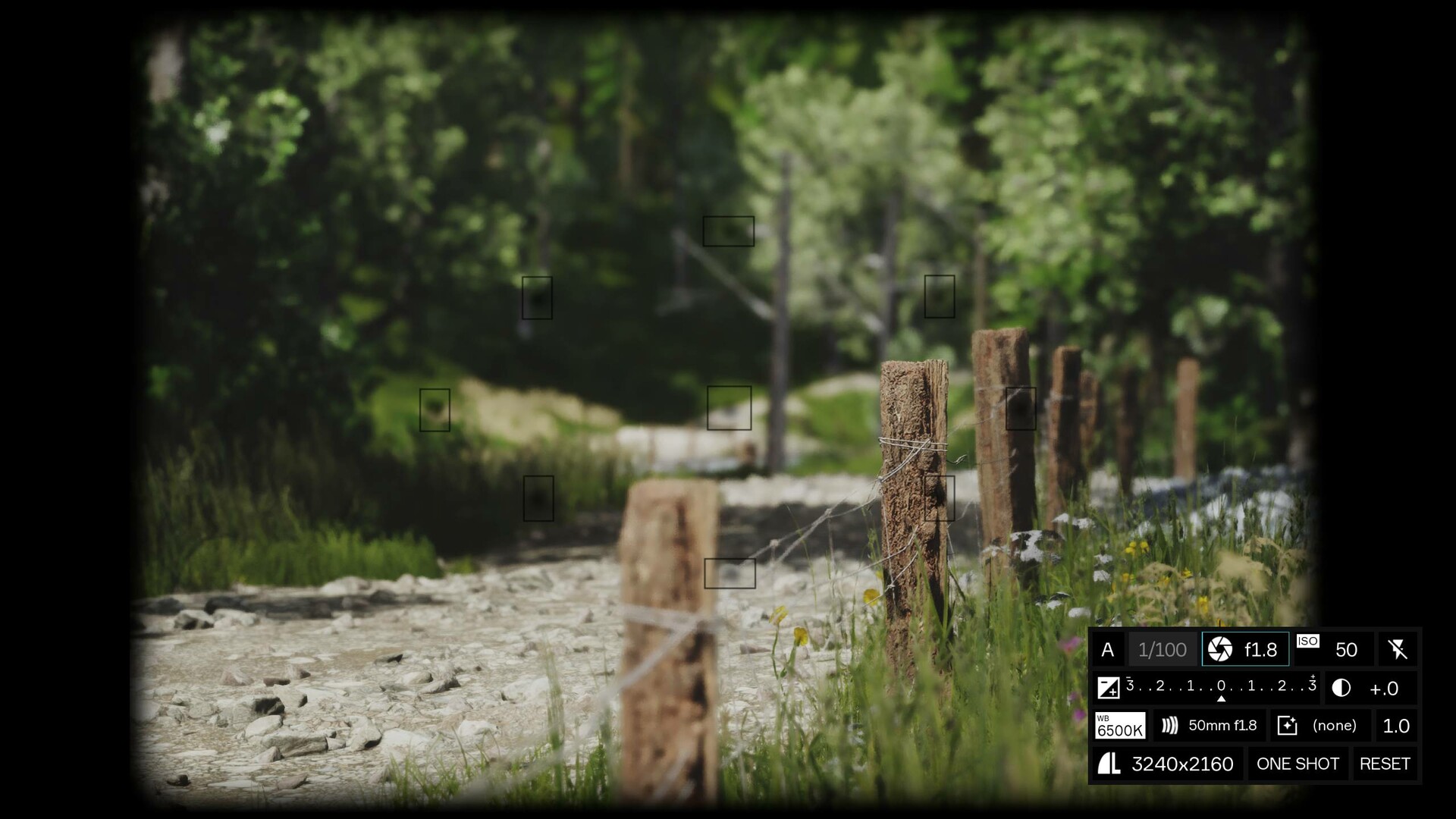 模拟美景摄影/Lushfoil Photography Sim 第4张 模拟美景摄影/Lushfoil Photography Sim 第4张