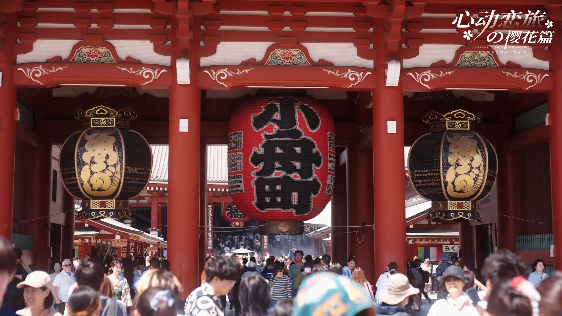 心动恋旅:樱花篇/Blossom Voyage 第1张 心动恋旅:樱花篇/Blossom Voyage 第1张